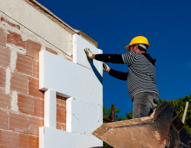 Best Specialized Insulation Services in Cibecue, AZ
