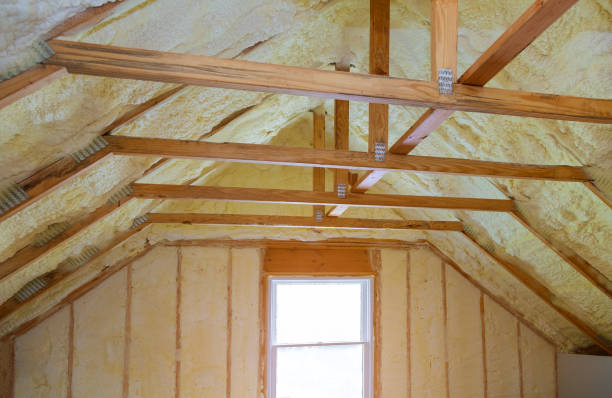 Best Geographic-Specific Insulation Services in Cibecue, AZ