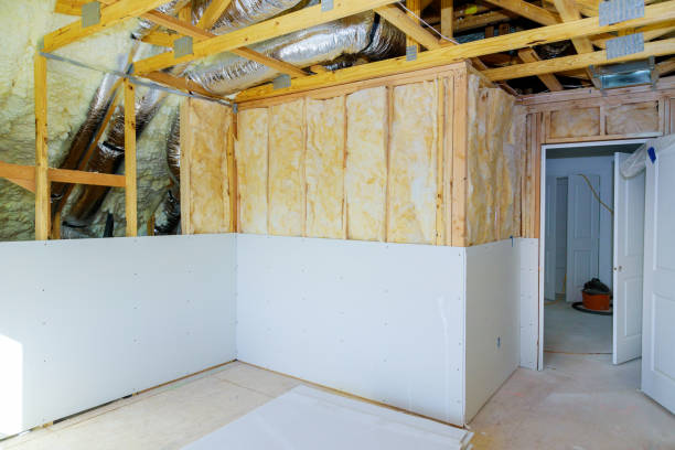 Types of Insulation We Offer in Cibecue, AZ