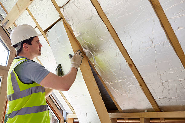 Best Blown-in Insulation in Cibecue, AZ
