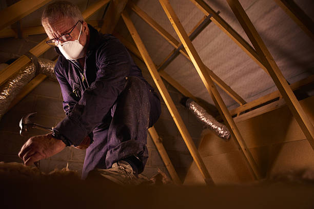 Best DIY Insulation Kits and Guidance in Cibecue, AZ